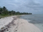 thumb_45_duncans006.jpg