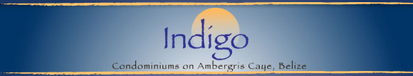 Indigo Luxury Condominium Homes