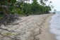 42 Acres 0.36 Miles Caribbean Mainland Beachfront 